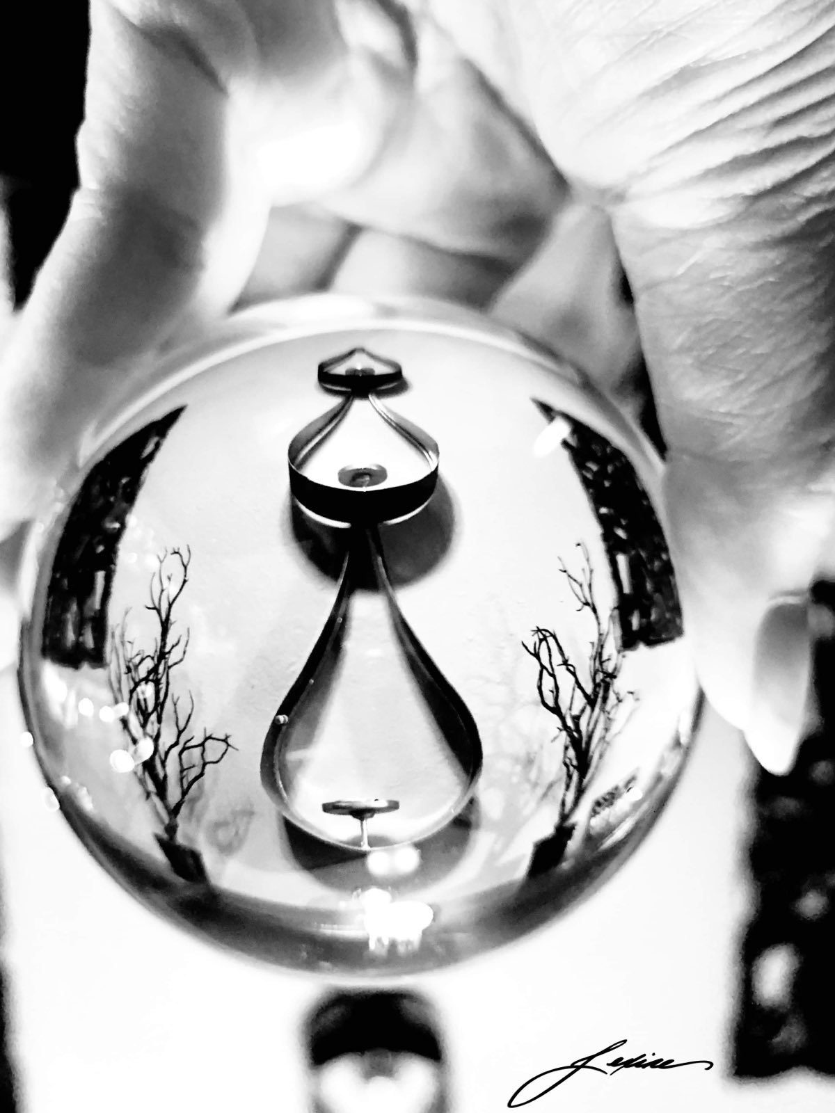 Gaze — The Fixed Point